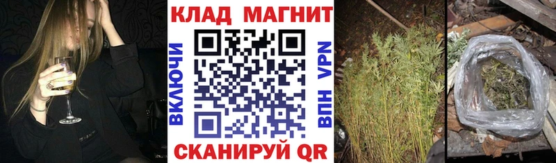 Все наркотики Обнинск ГАШ  Alpha-PVP  Псилоцибиновые грибы  Меф 
