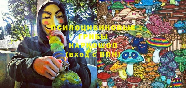 сатива Богородск