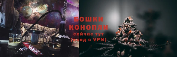 сатива Богородск