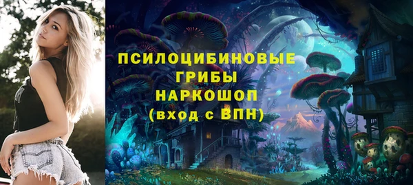 сатива Богородск