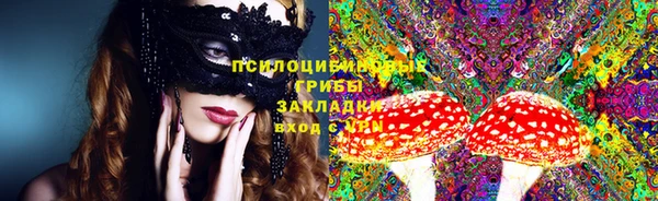 сатива Богородск