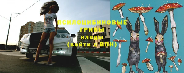 сатива Богородск
