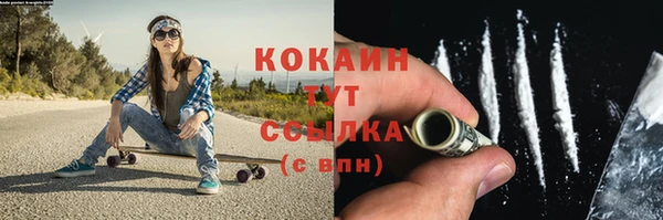 сатива Богородск